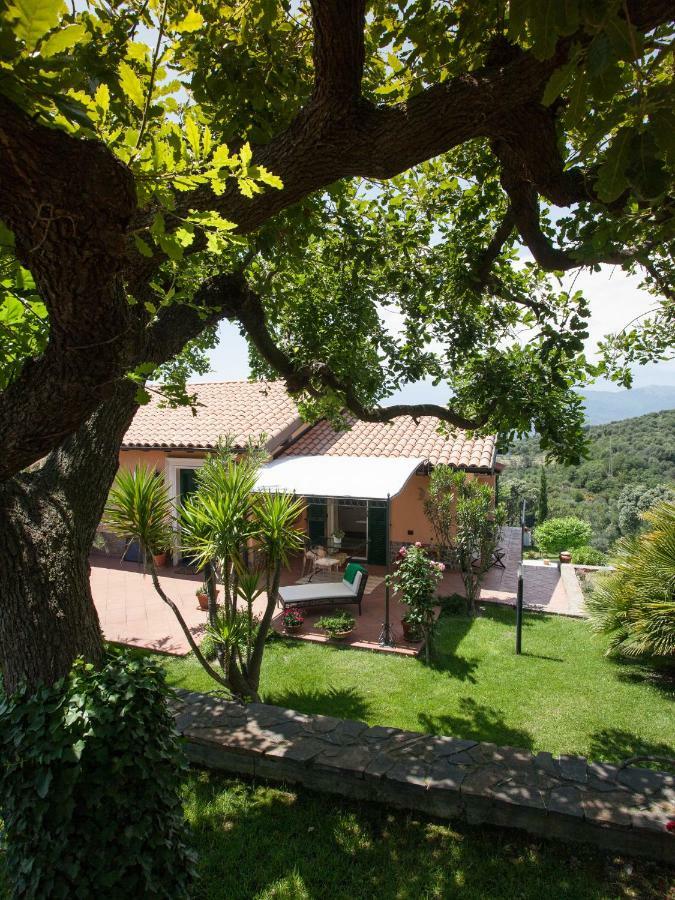 Il Mirto B&B Imperia Εξωτερικό φωτογραφία